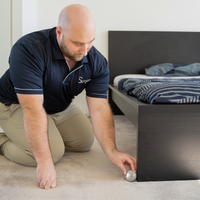 Ice'em Carpet Dent Remover